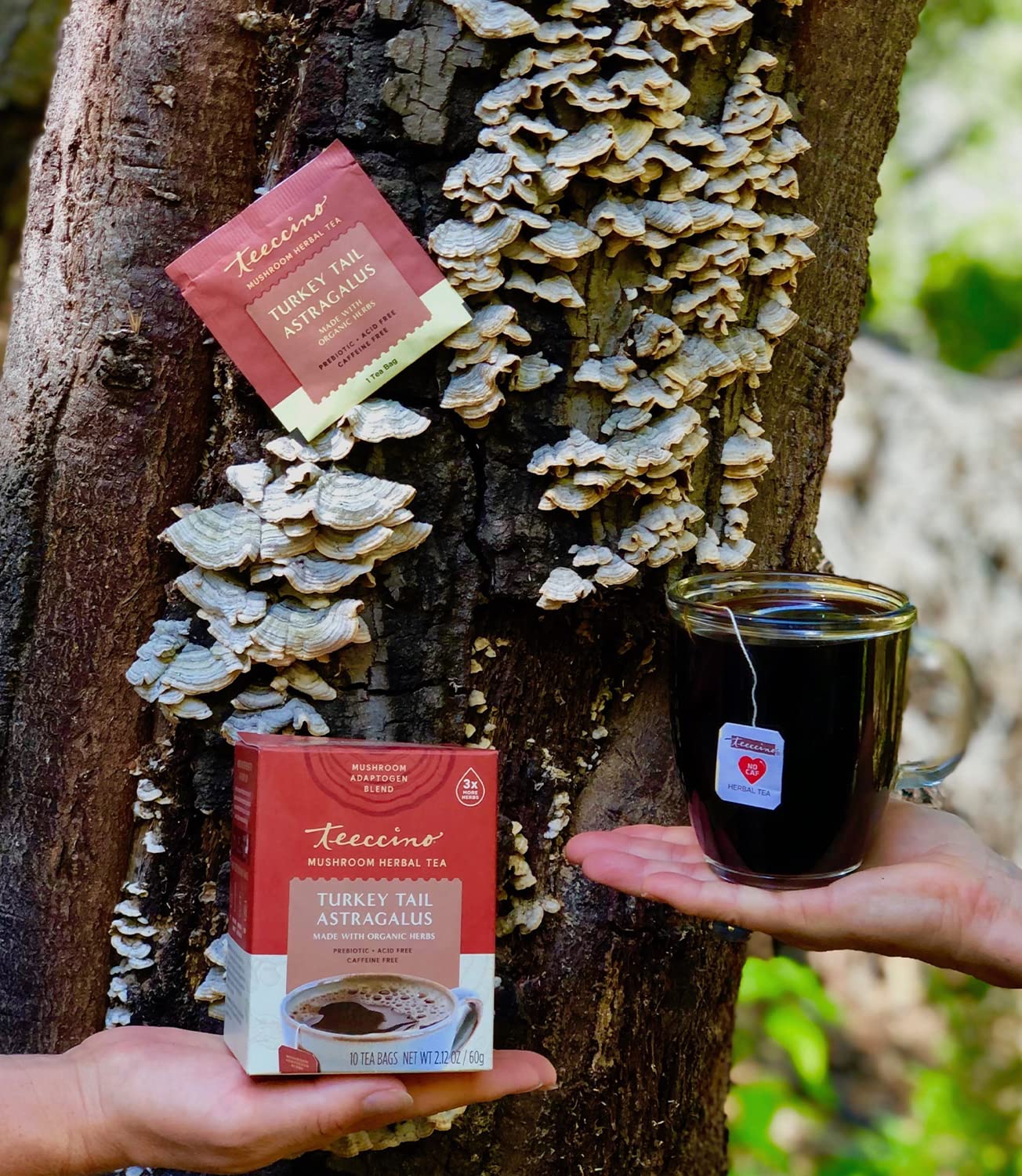 Teeccino Mushroom Herbal Tea - Turkey Tail & Astragalus - Caffeine Free, Prebiotic - 25 Tea Bags