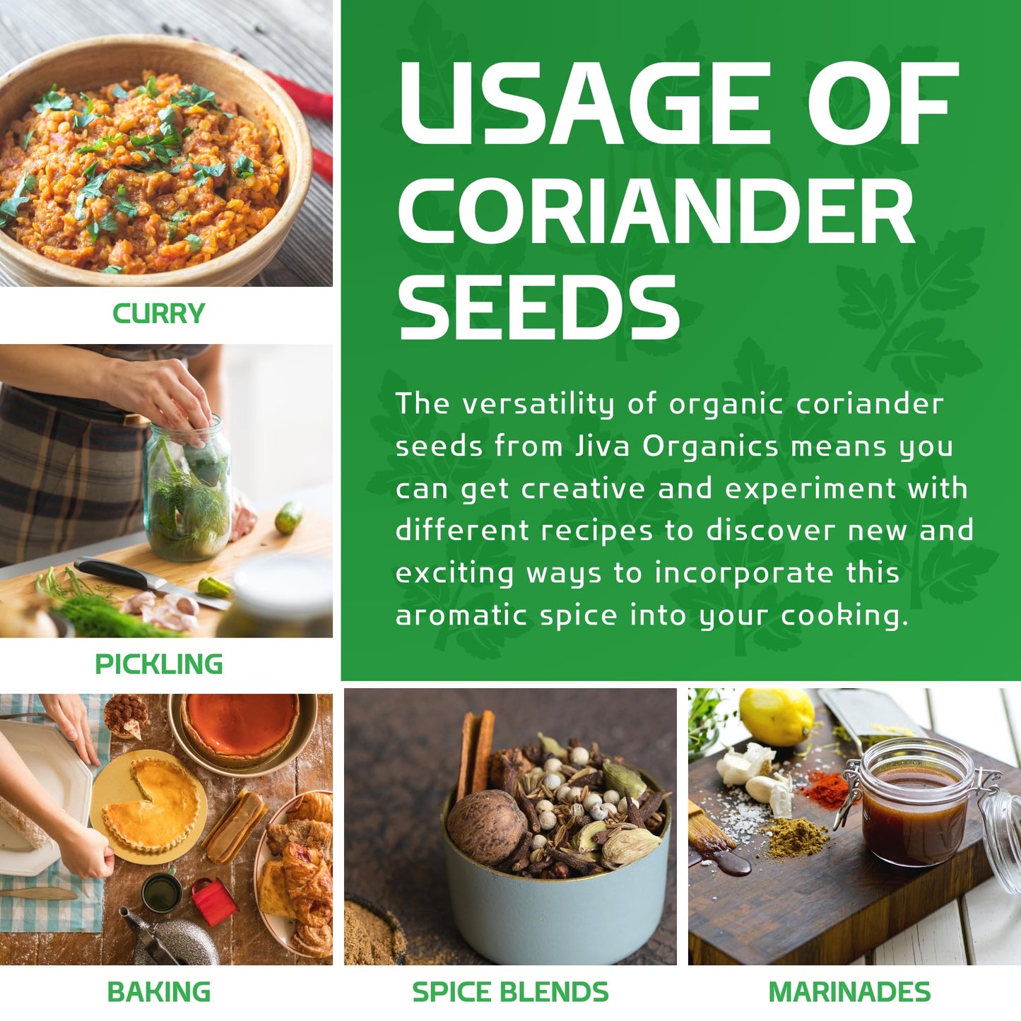 Jiva Usda Organic Coriander Seeds Whole 7 Ounce - New!