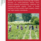 Traditional Medicinals Gypsy Cold Care Herb Tea 16 Ct. (Pack Of 1)