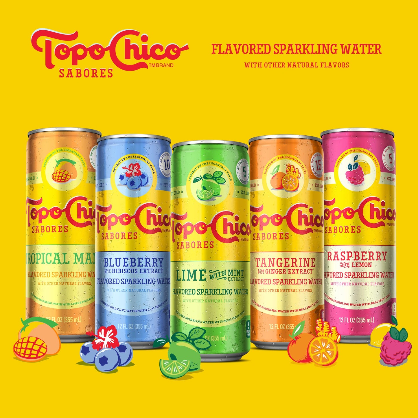 Topo Chico Sparkling Water Raspberry Lemon Flavored 12oz 8-Pack
