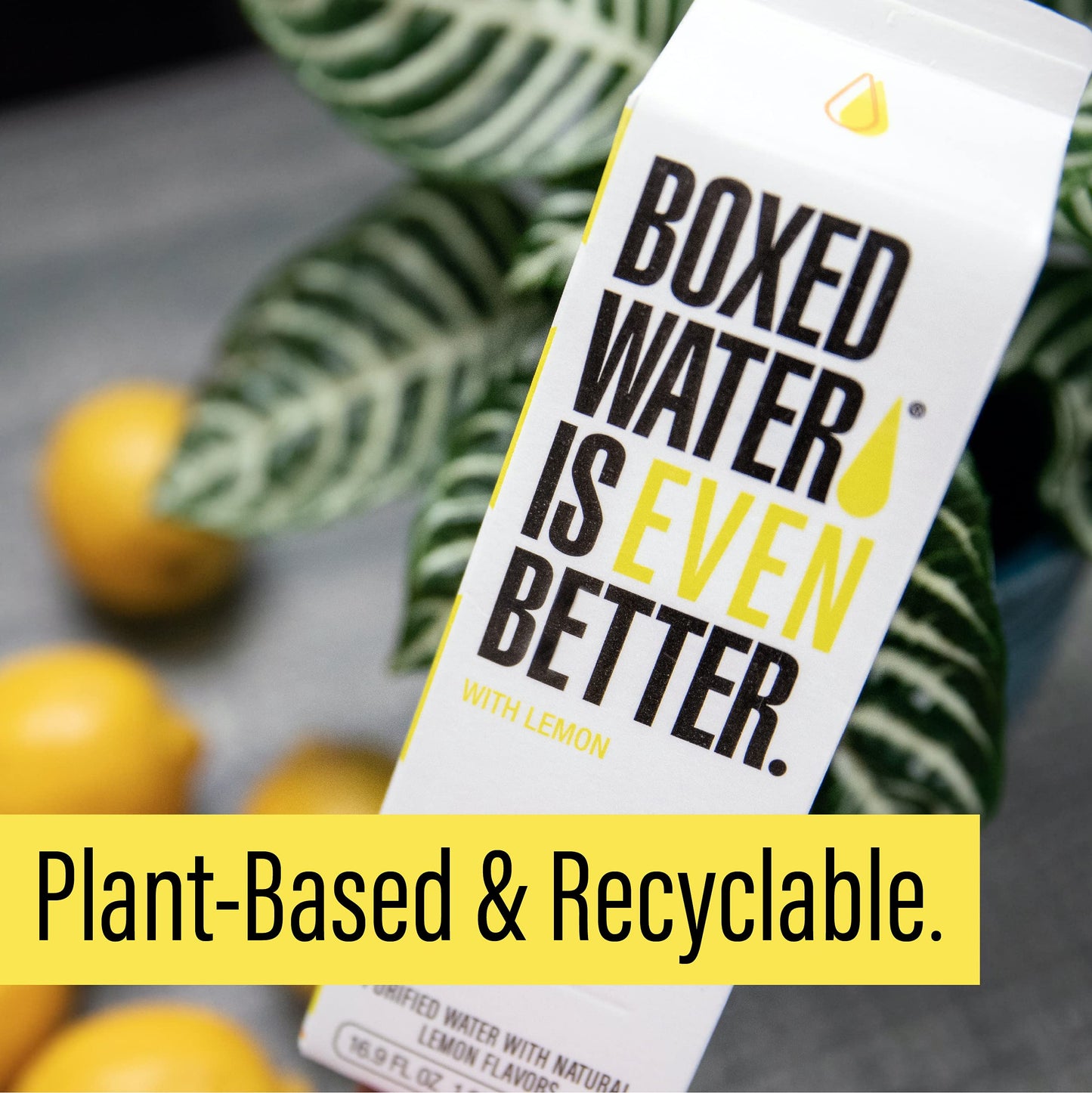 BOXED WATER IS BETTER Lemon Flavored Water - Purified, 16.9 oz. (12 Pack), Zero Calories, Plant-Based Boxes