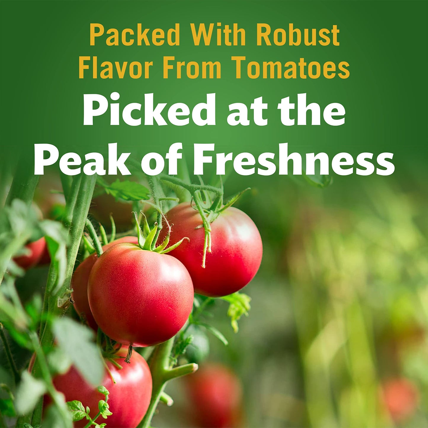 Del Monte Tomato Ketchup, 24 Oz Bottle