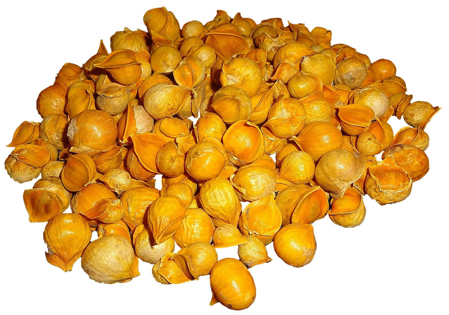Japanese Garlic//Ajo Japones (100% Natural!!) Different Weights: (1 Lb, 5 Lbs, and 10 Lbs) (5 Lbs)