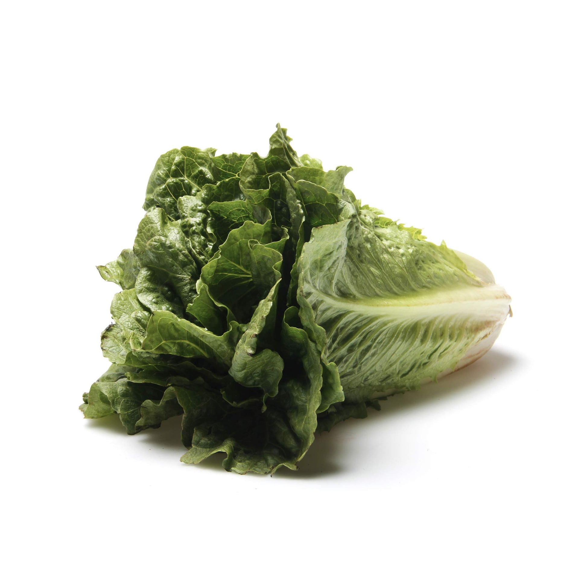 Romaine Lettuce, 1 Each