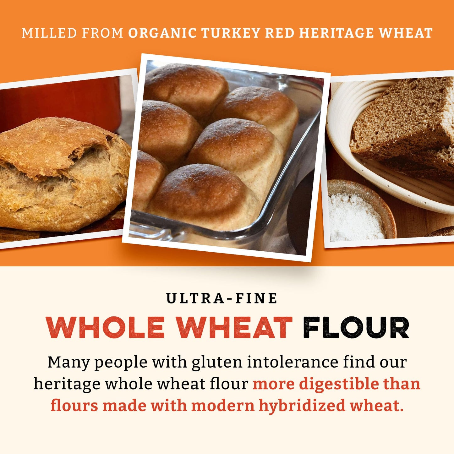 Sunrise Flour Mill Heritage Organic Whole Wheat Flour - 5 Lbs | Milled From Red Hard Wheat Within 10 Days | Easier To Digest Wit