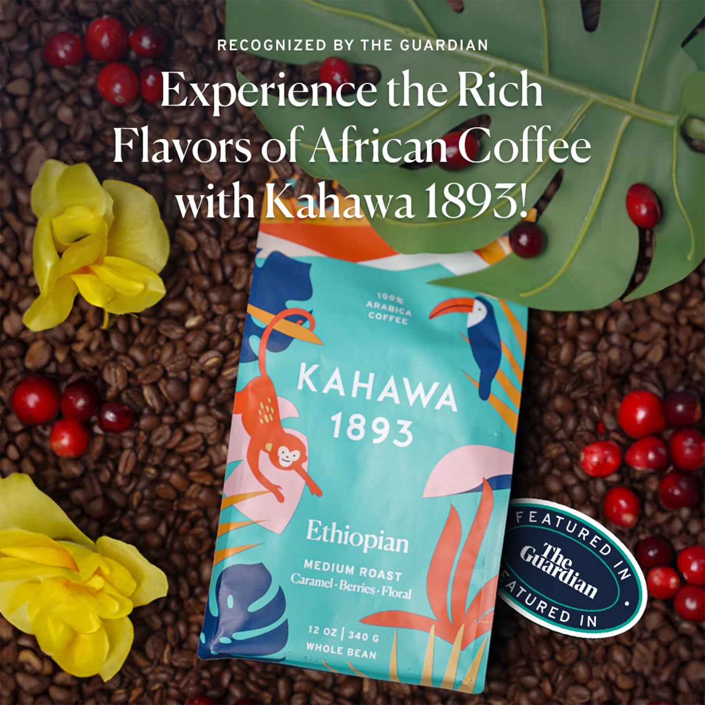 KAHAWA 1893 Whole Bean Coffee Combo Pack - Kenyan & Ethiopian Blend, 12 Oz (Pack of 2) - Naturally Sweet, Organically Grown