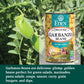 Eden Organic Garbanzo Beans, 15 Oz Can, No Salt, Non-Gmo, Gluten Free, Vegan, Kosher, U.S. Grown, Heat And Serve, Macrobiotic, Chickpeas