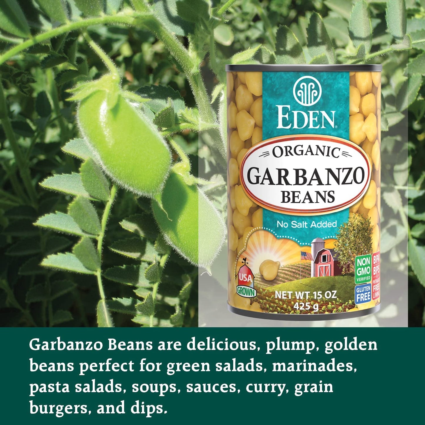Eden Organic Garbanzo Beans, 15 Oz Can, No Salt, Non-Gmo, Gluten Free, Vegan, Kosher, U.S. Grown, Heat And Serve, Macrobiotic, Chickpeas