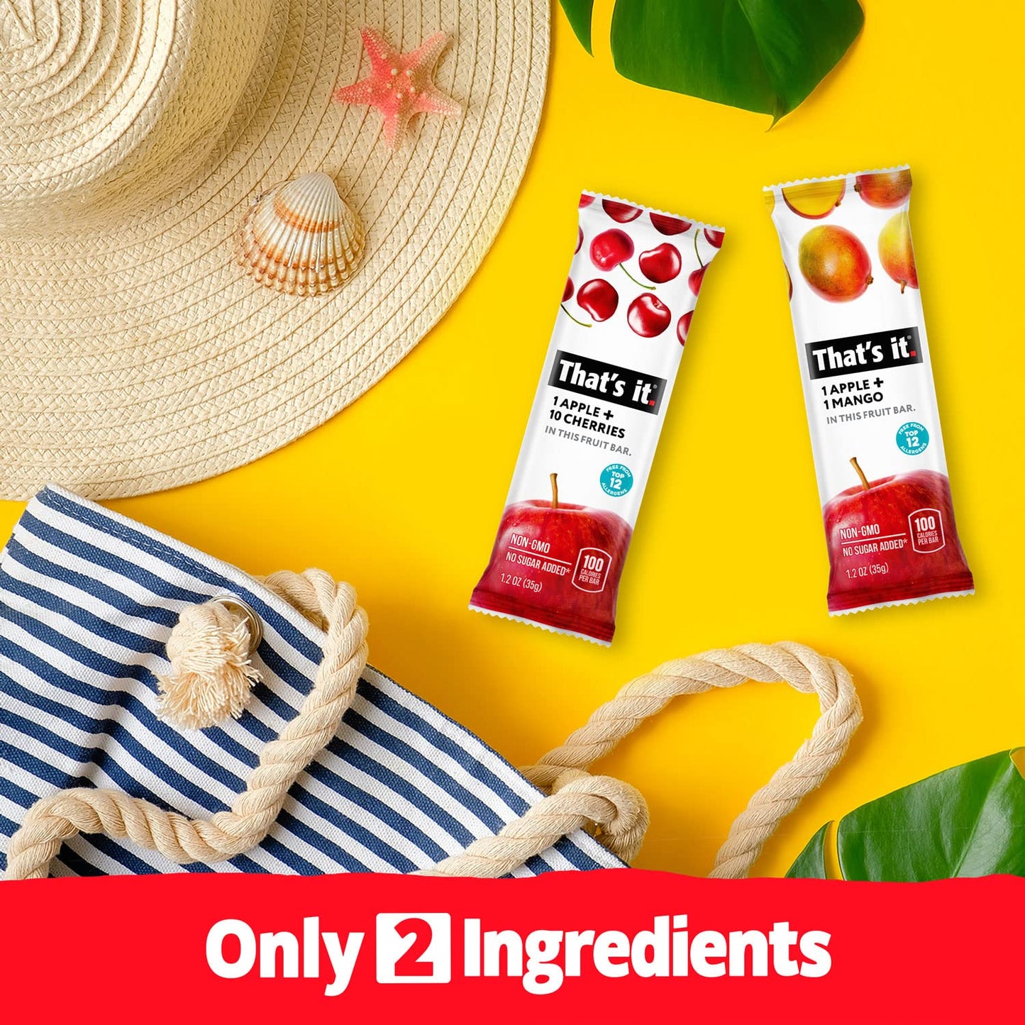 Thats it. Fruit Bars 12 Variety Pack 100% Natural Real Fruit Bar  High Fiber Vegan  Gluten Free  Paleo  Non-GMO No Sugar Added (6 Mango  6 Cherry)