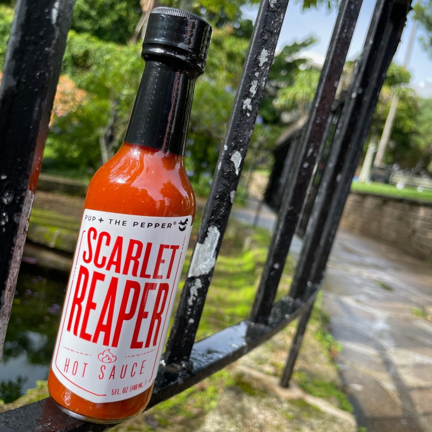 Pup & The Pepper Hot Sauce 3 Pack Gift Box - PawPaw Peach Habanero, Scarlet Reaper, & Cilantro Verde - Small Batch Gourmet Hot S