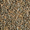 12 oz Signature Rye Berries - Organic and Healthy, High in Fiber and Iron - 12 oz Bag of Rye Berries