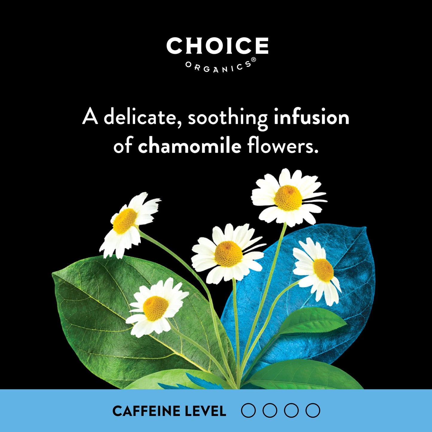 Choice Organic Teas Chamomile Tea Bags - Caffeine Free - 48 Bags (Pack of 3)