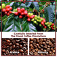 GANOHERB Mushroom Coffee Alternative Cappuccino Mix, Instant Superfood Drink, 11.1oz, 15 Count