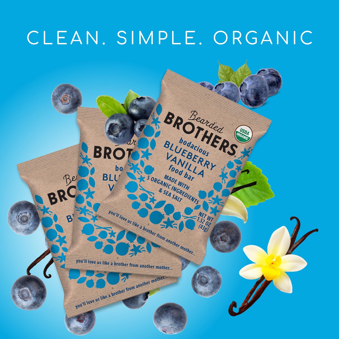 Bearded Brothers Organic Vegan Protein Energy Bars, Blueberry Vanilla, Gluten Free, 12 Count