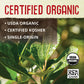 Ecoteas Organic Unsmoked Yerba Mate Tea Bags - 24 Count, 1.7 Oz - Organic Detox Tea - Hi Caf Tea - Clean Yerba Mate Energy Burst