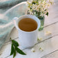 Bigelow Tea Jasmine Green Tea 20 Count (Pack of 1)