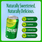 Zevia Zero Sugar, Mountain Zevia Soda, 12 Fl Oz Cans (Pack Of 24)