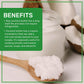 Jiva Organics Raw Organic Coconut Butter 16 Ounce Jar - Creamy, Unsalted