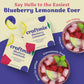 Craftmix Blueberry Lemonade Mix, 12 Packets, Easy Powder Drink With Real Fruit, Low-Sugar, Vegan, Low-Carb, Non-Gmo, Dairy-Free, Gluten-Free, Flavored Water Enhancer, On-The-Go Water Flavoring Packets