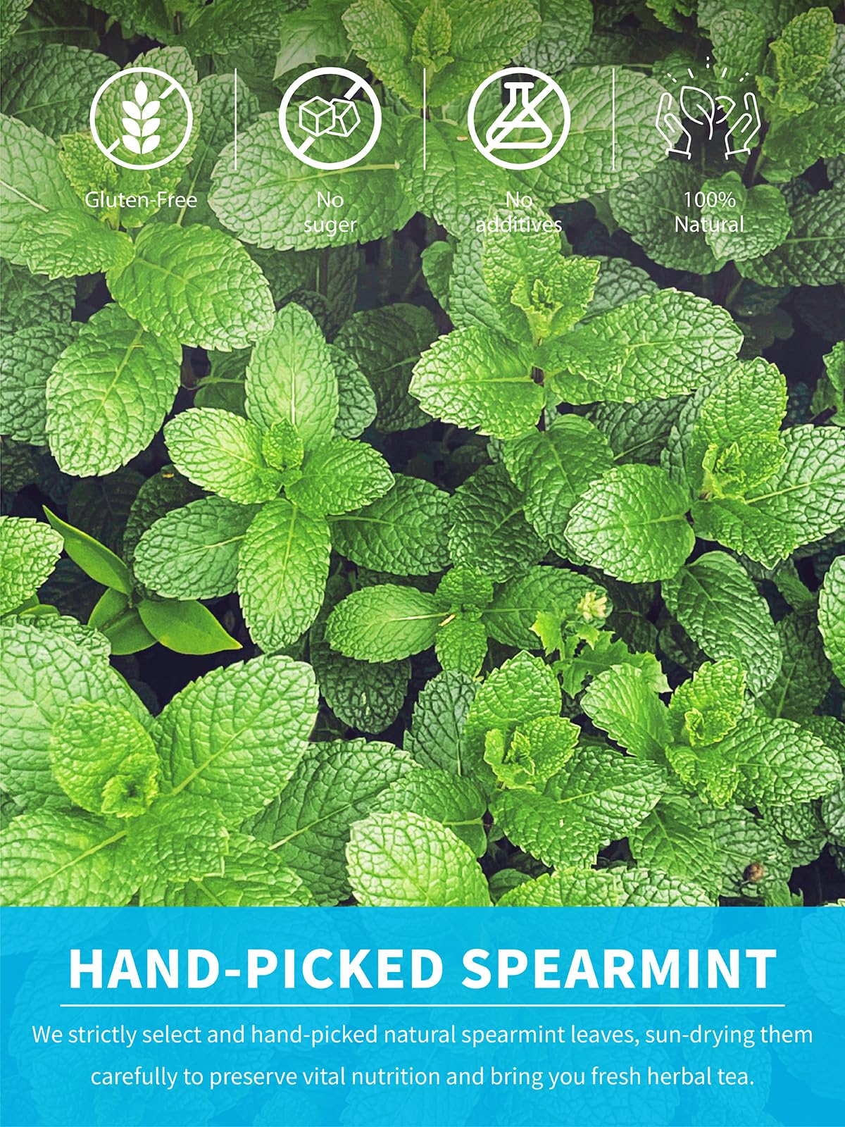 TeeLux Spearmint Tea Bags, Herbal Caffeine-Free Mint Tea, 100 Count