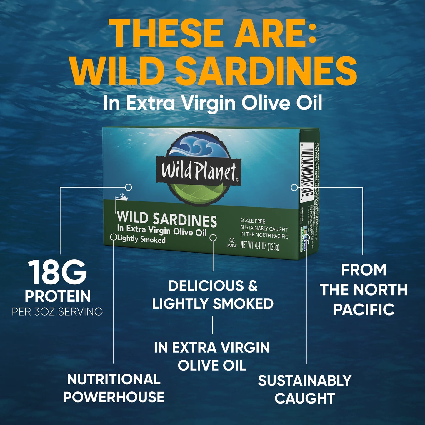 Wild  t Wild Sardines in Extra Virgin Olive Oil, Lightly Smoked, 4.4 Ounce (Pack of 12), Non-GMO, Gluten Free