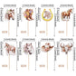 Zhuoweism 40 Pcs Horse Cupcake Toppers - Western Cowgirl Cupcake Picks - Floral Horseshoe Hat Boots - Cake Decorations For Horse