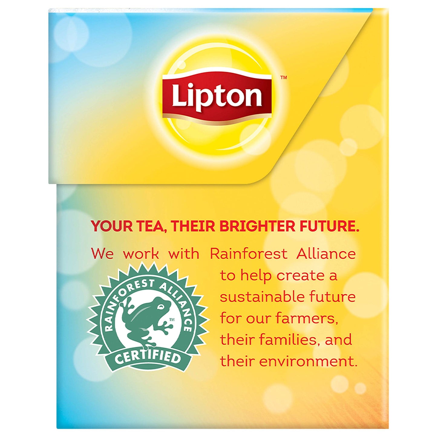 Lipton Cold Brew Unsweetened Black Iced Tea Bags, Family-Sized, 22 Count (Pack of 12)