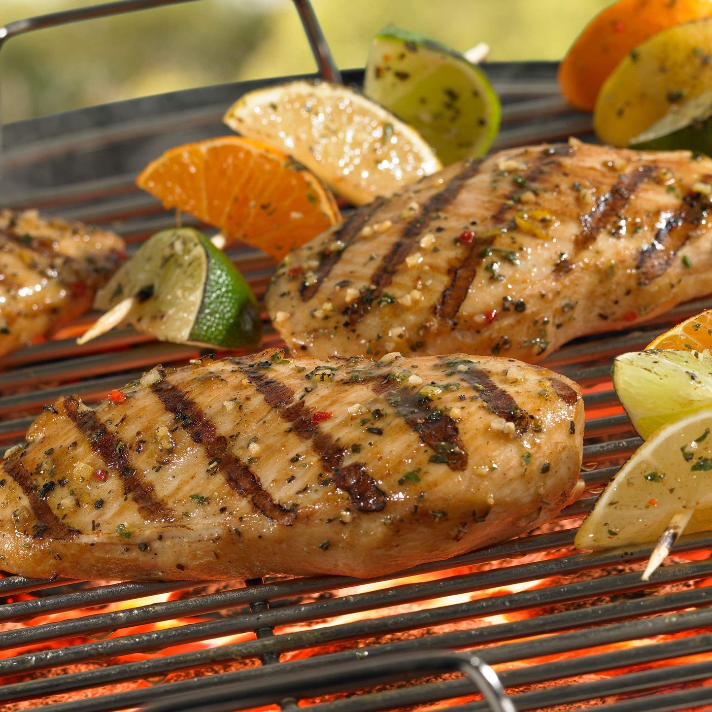 Mccormick Grill Mates Zesty Herb Marinade Mix, 1.06 Oz (Pack Of 12)