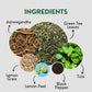 Tea Leaf & Co. Tulsi Holy Basil Green Tea with Lemon Peel, Lemongrass & Black Pepper - 50 Servings, Gluten Free, Loose Leaf