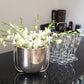 Sunne Tropical Orchidclub Usa Fresh Cut Flowers Dendrobium Orchids (10 Stems White)