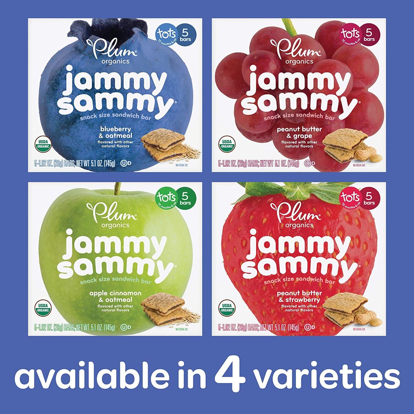 Plum Organics Kids Jammy Sammy Apple Cinnamon & Oatmeal, 1.02 Oz, 5 Pack