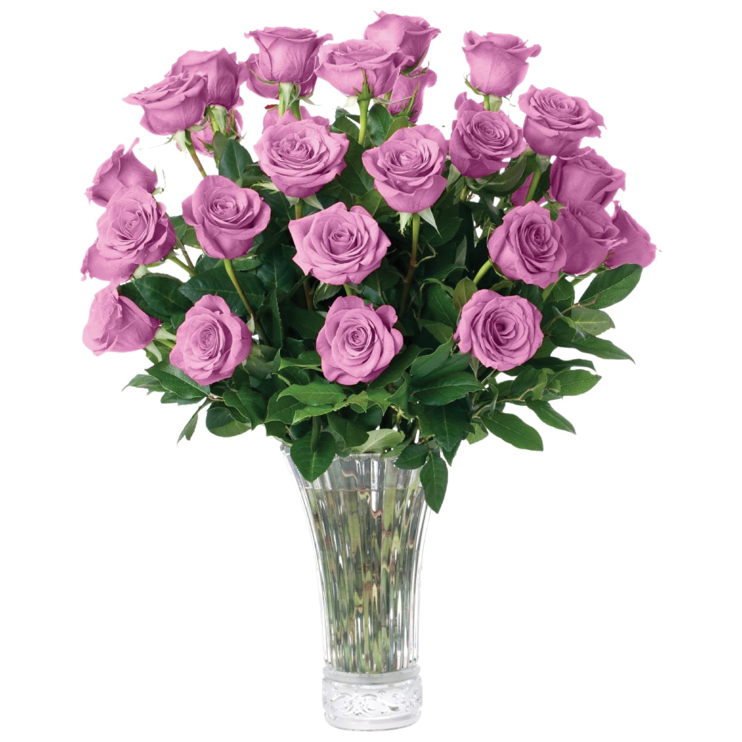 Aquarossa Farms - 24 Lavender Roses, Fresh Flowers for Delivery, Flower Fresh Bouquet, Gift Idea for Graduation, Birthday, Anniv