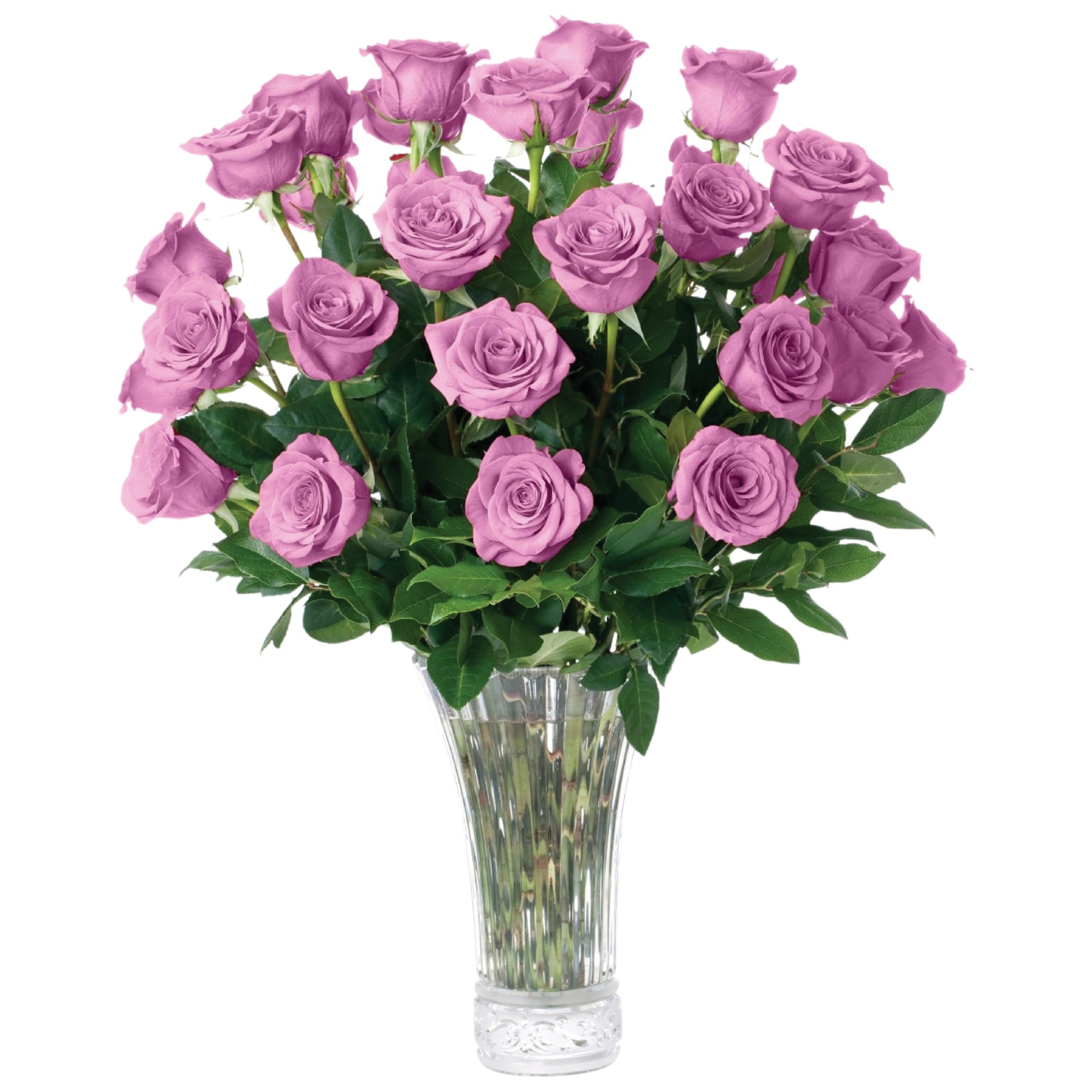 Aquarossa Farms - 24 Lavender Roses, Fresh Flowers for Delivery, Flower Fresh Bouquet, Gift Idea for Graduation, Birthday, Anniv