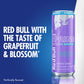 Red Bull Spring Edition Sugarfree Energy Drink  Gfruit  12 fl. oz.  6 x 4 Cans  Pack of 24 Cans  with 114mg Caffeine  Taurine & B Vitamins