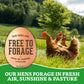 Organic Valley, Organic Free-Range Medium Brown Eggs - 18 ct