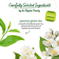 Bigelow Tea Jasmine Green Tea 20 Count (Pack of 1)