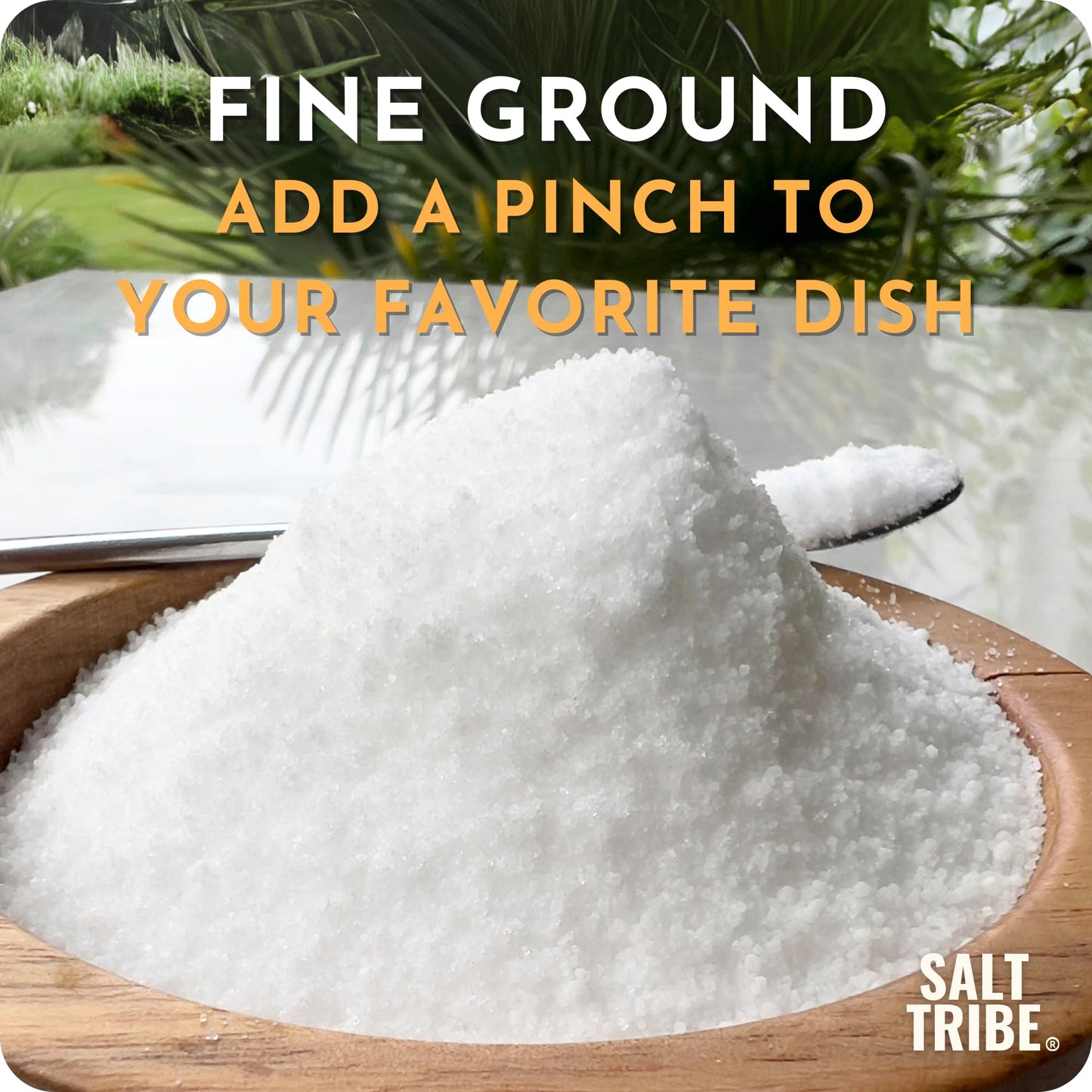 Salt Tribe | Baja Sea Salt | Mineral Rich | 90+ Trace Minerals | Fine Ground | Hydration Support | Sal Organica | Low Sodium | O
