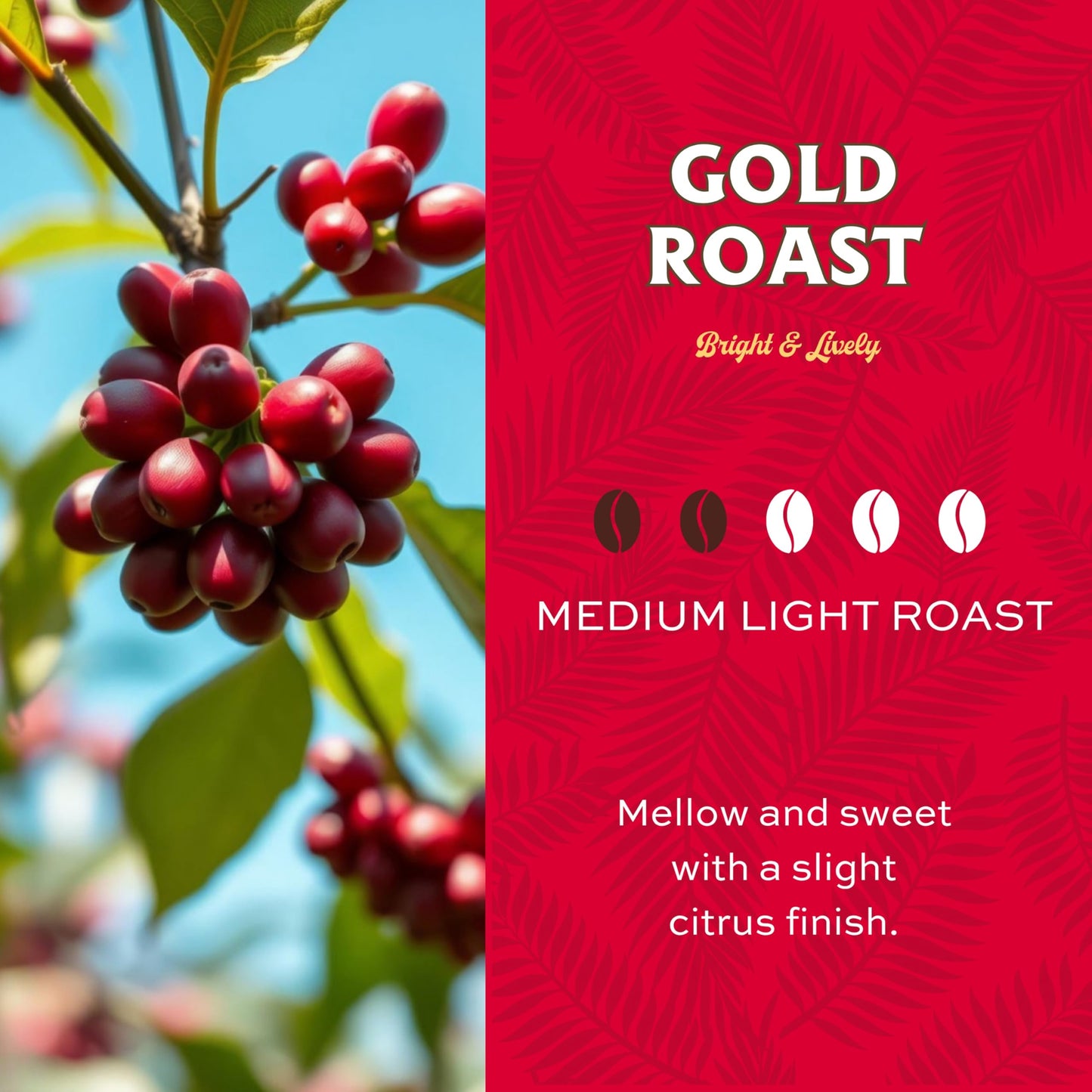 Lion Coffee Gold Roast Ground Coffee, Medium-Light Roast, 10 Ounce Bag