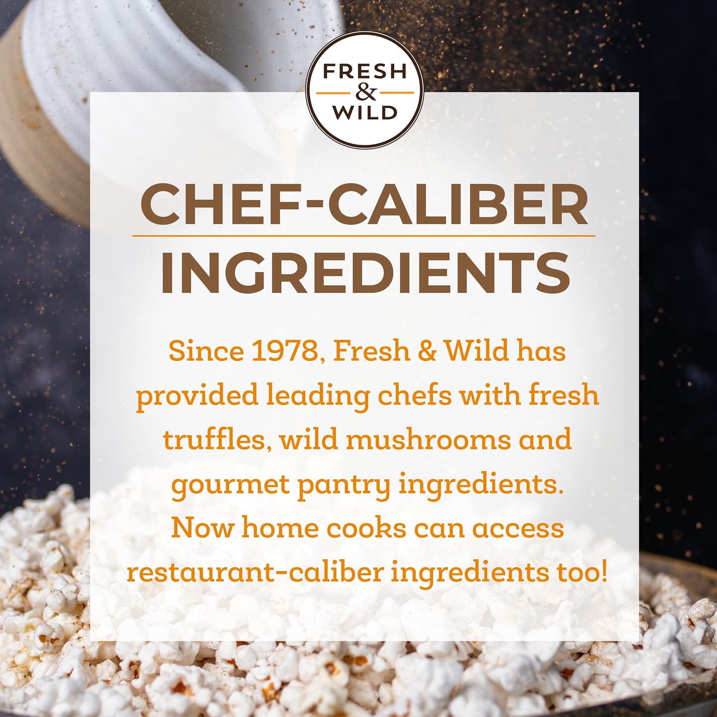Fresh & Wild | Dried Porcini Powder | All Natural, Vegan, Gluten-Free | For Cooking in Pasta, Risotto, Soup, Casseroles and More