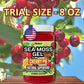 Biolore Sea Moss Gel Cherry Pie Made in USA Raw Wildcrafted Irish Seamoss Essential Vitamins Trace Minerals Vegan Superfood, Jam