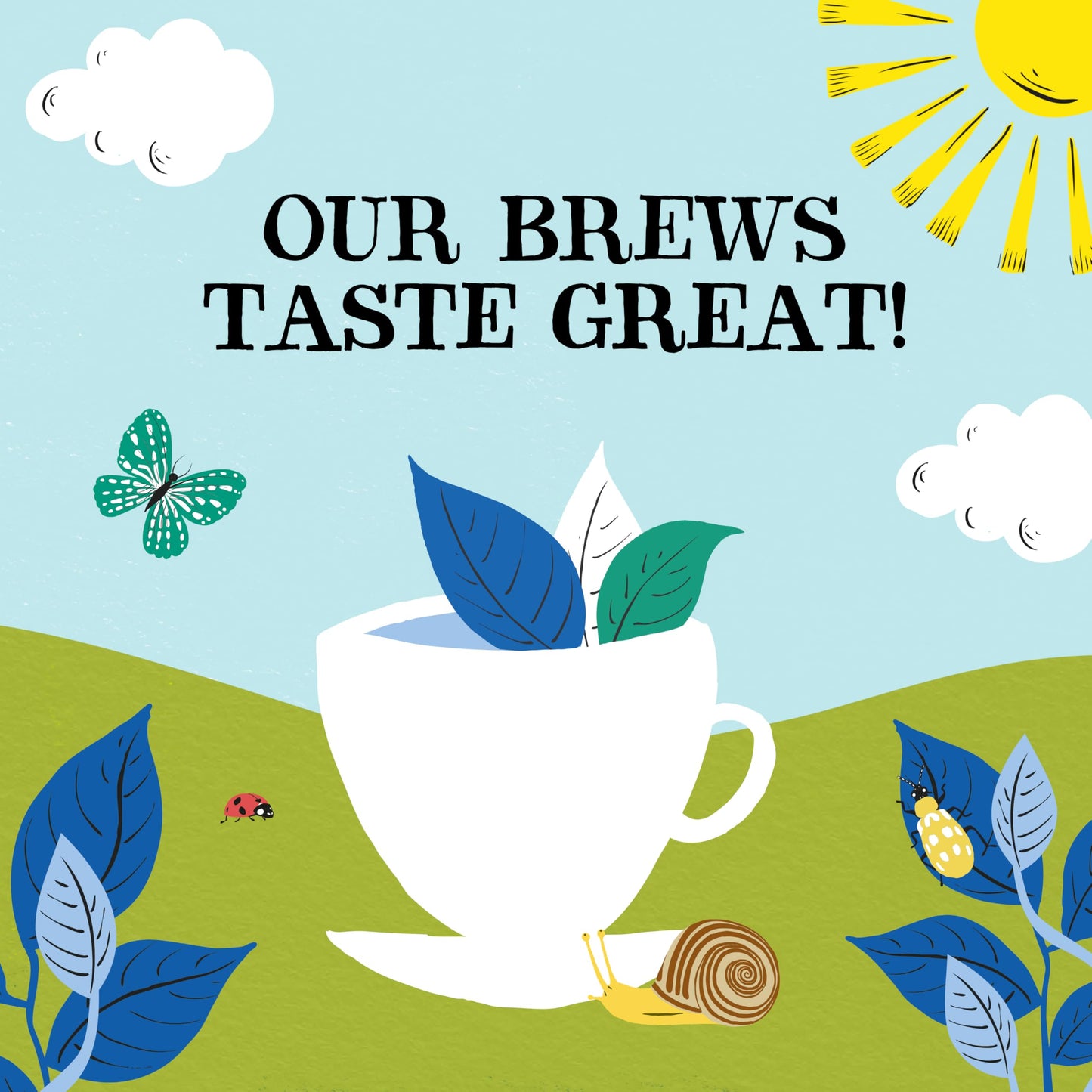 Clipper Teas - 80 Unbleached Bags Of Organic Decaf Tea - 250G