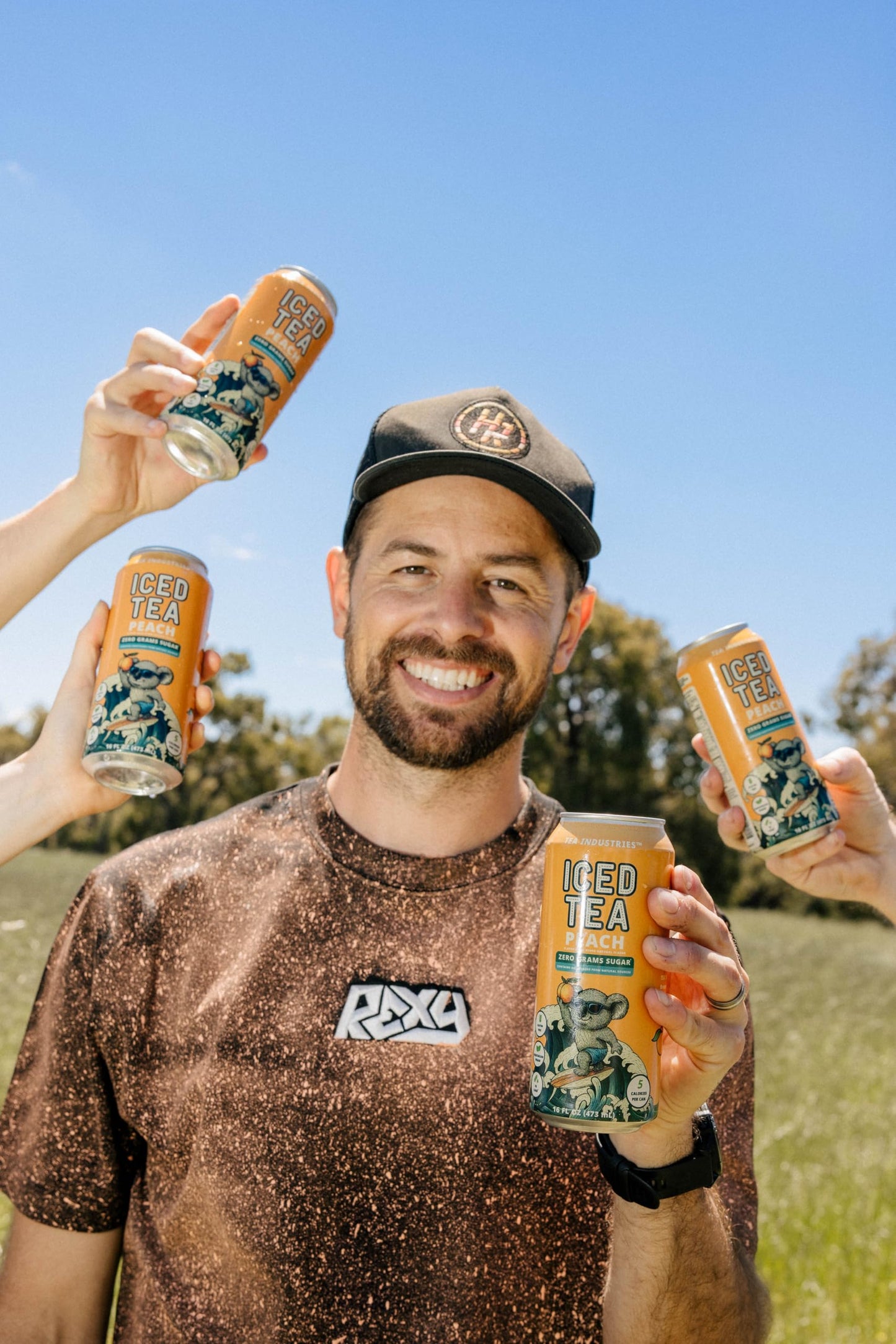 Green Tea with Peach Iced Tea - Sugar Free  Low Calorie Antioxidant Drink  Fruity Flavor  16oz Cans (12-Pack)