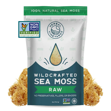 Herbal Vineyards 100% Natural Organic Wildcrafted Gold Raw Sea Moss | 4Oz Package | Non-Gmo Project Verified