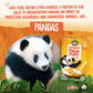 EnviroKidz Peanut Butter Panda Puffs Organic Cereal, 10.6 oz