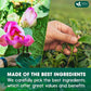 FRESHDRINKUS Lotus Green Tea - 100% Natural, 20 Tea Bags, Exquisite Flavor, Vegan, No Sugar, No Gluten