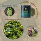Sencha Green Tea - Loose Leaf Japanese Tea From Kagoshima - Ceremonial Grade Matcha Alternative - Detox & Immune Support Drink -