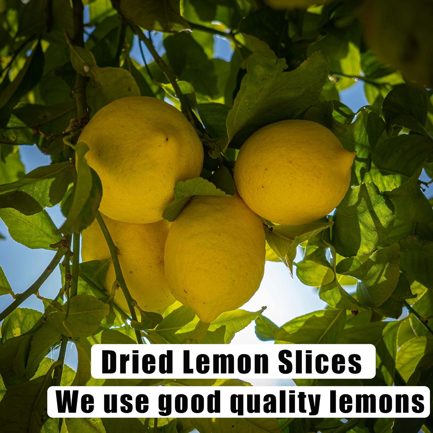 Dried Lemon Slices 2.5Oz/70G,Natural Dehydrated Lemon Slices For Cocktails Garnish/Potpourri/Cake Decoration/Crafts,Dried Citrus