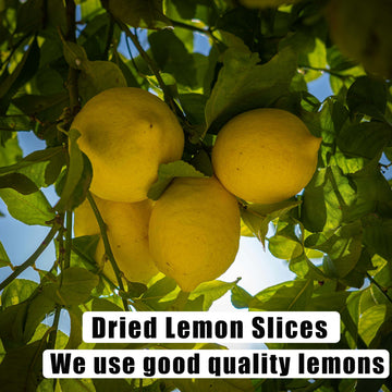 Dried Lemon Slices 2.5Oz/70G,Natural Dehydrated Lemon Slices For Cocktails Garnish/Potpourri/Cake Decoration/Crafts,Dried Citrus