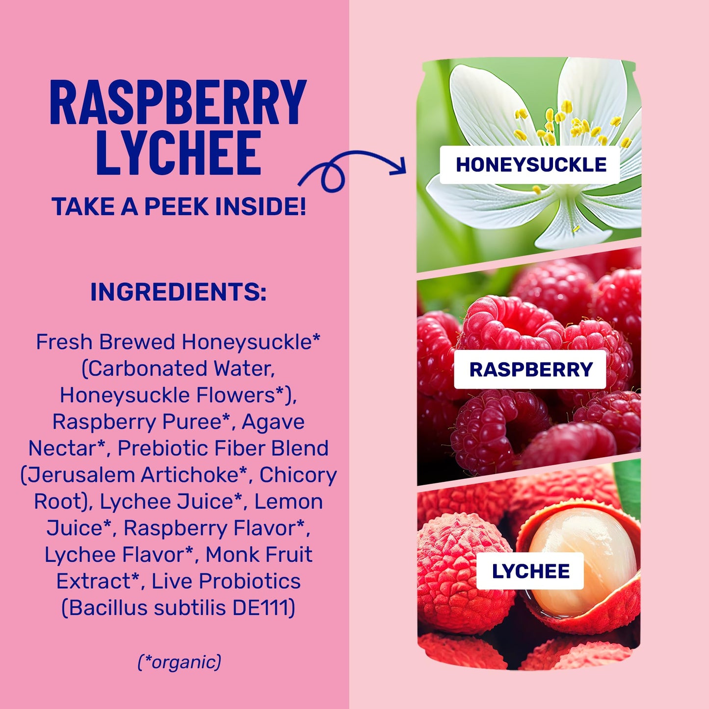 Wildwonder Sparkling Probiotic Drink, Raspberry Lychee, 12oz Can, 12 Pack, Organic, Vegan, Low Sugar