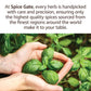 Spice Gate Kefta Seasoning for Grilled Kebabs, 1.5 oz, Ideal for Kofta or Kafta